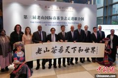 中国常驻联合国代表团举办“国际茶日”庆祝活